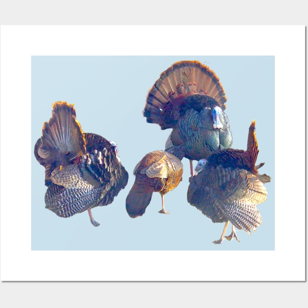 Male Turkeys Displaying Their Foliage to a Lady Wall Art by Glenn’s Credible Designs